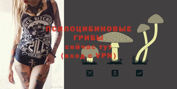 тгк Бородино