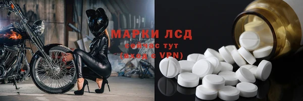 тгк Бородино