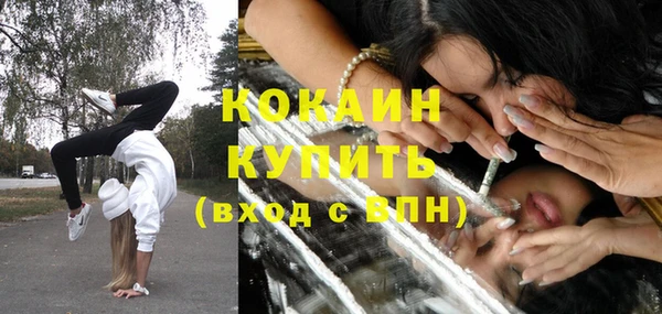 тгк Бородино