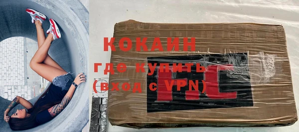 тгк Бородино