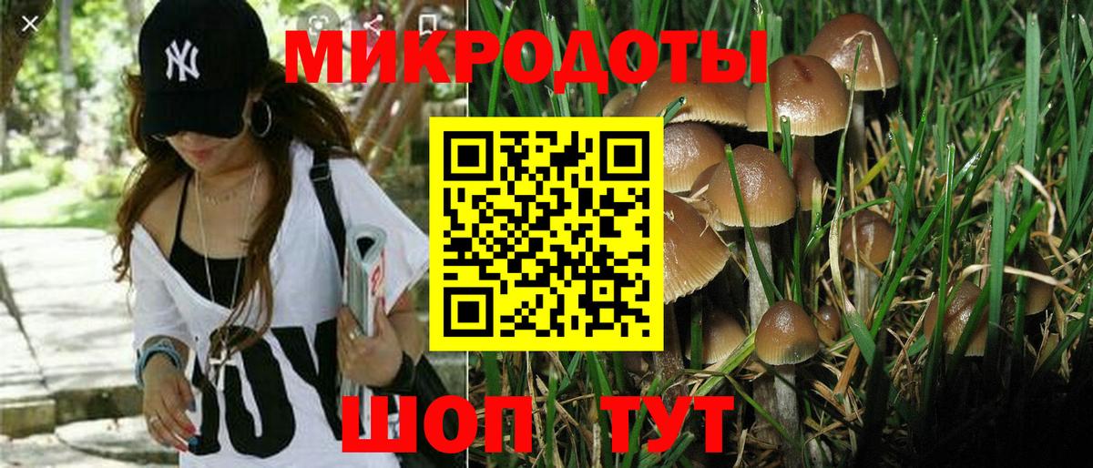 Галлюциногенные грибы прущие грибы  Галлюциногенные грибы Psilocybine cubensis  цены наркотик  Луховицы  Вход с VPN 